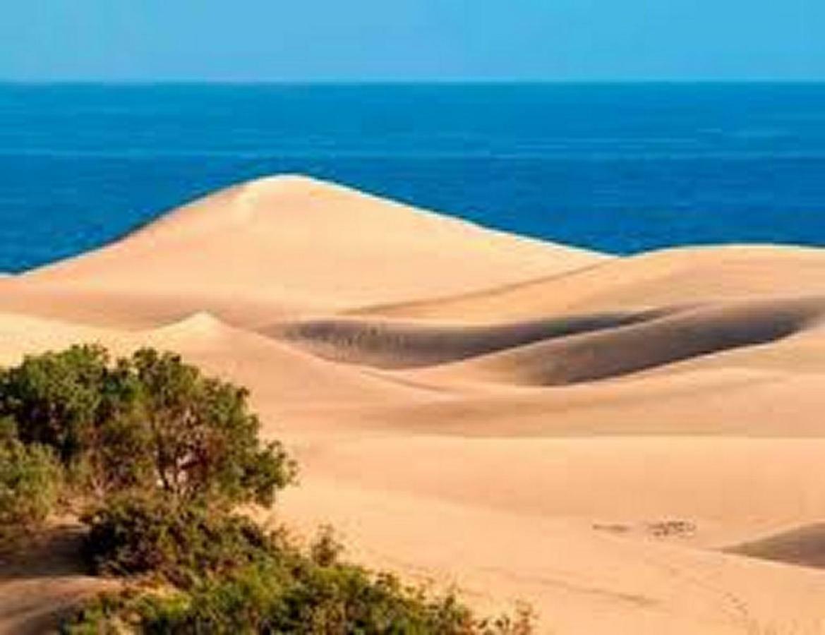 Bungalow Dunas&Sea Maspalomas Maspalomas  Luaran gambar